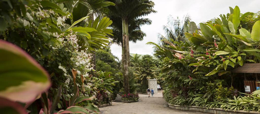 Baldi Hot Springs Hotel & Spa La Fortuna المظهر الخارجي الصورة